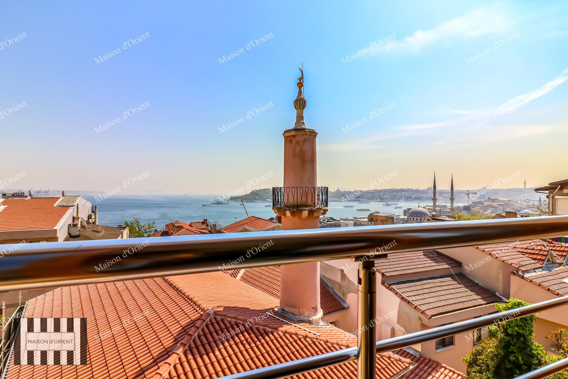 3+1 Detached House with Garden for Sale in Cihangir - Görsel 8