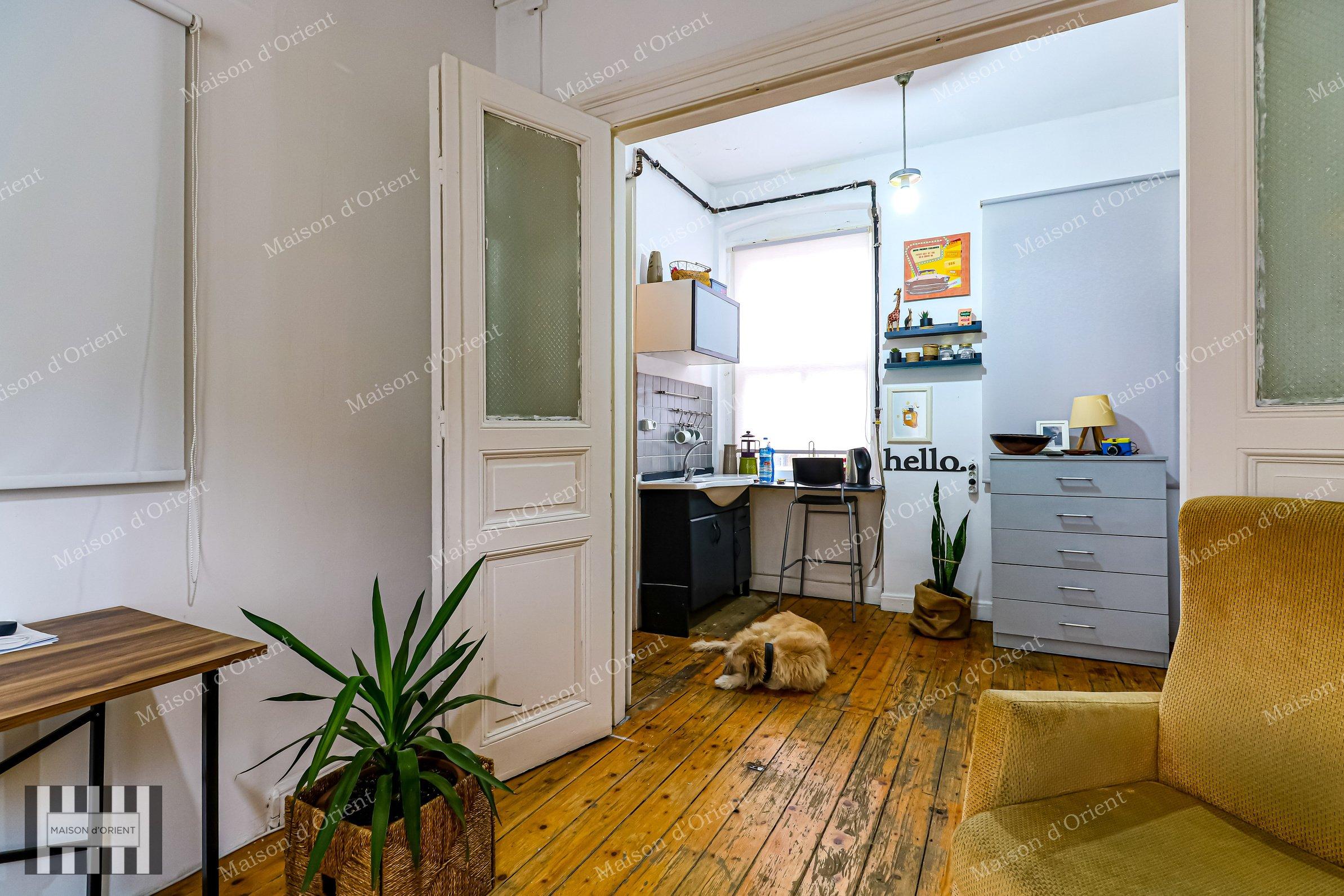 Historical Ojeni Building for Sale in Galata - Görsel 18