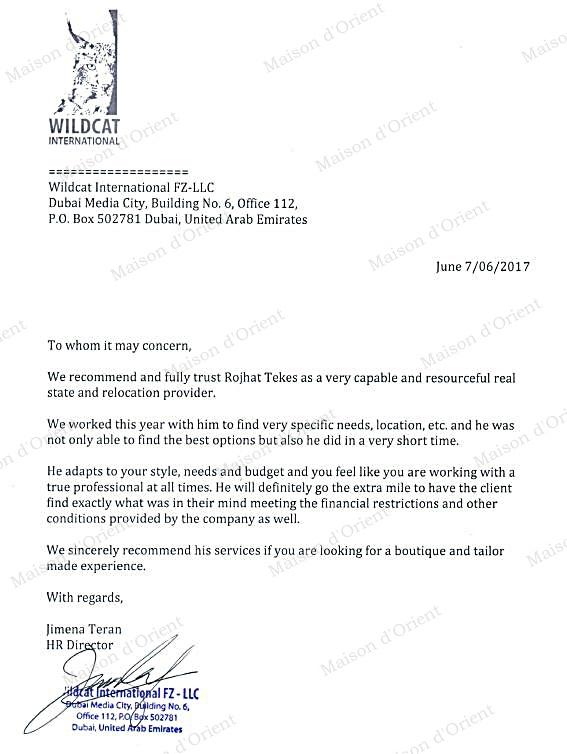 Wildcat International Dubai